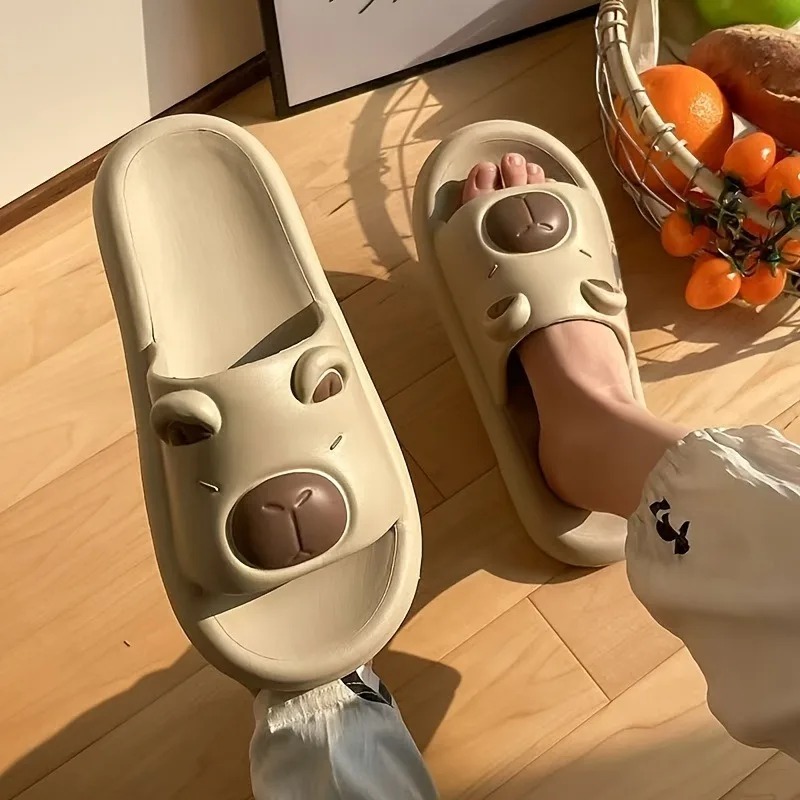 Capybara Slide Sandals Men Wom - Men Shoes On Cloud 评论和价格